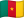 Cameroon flag